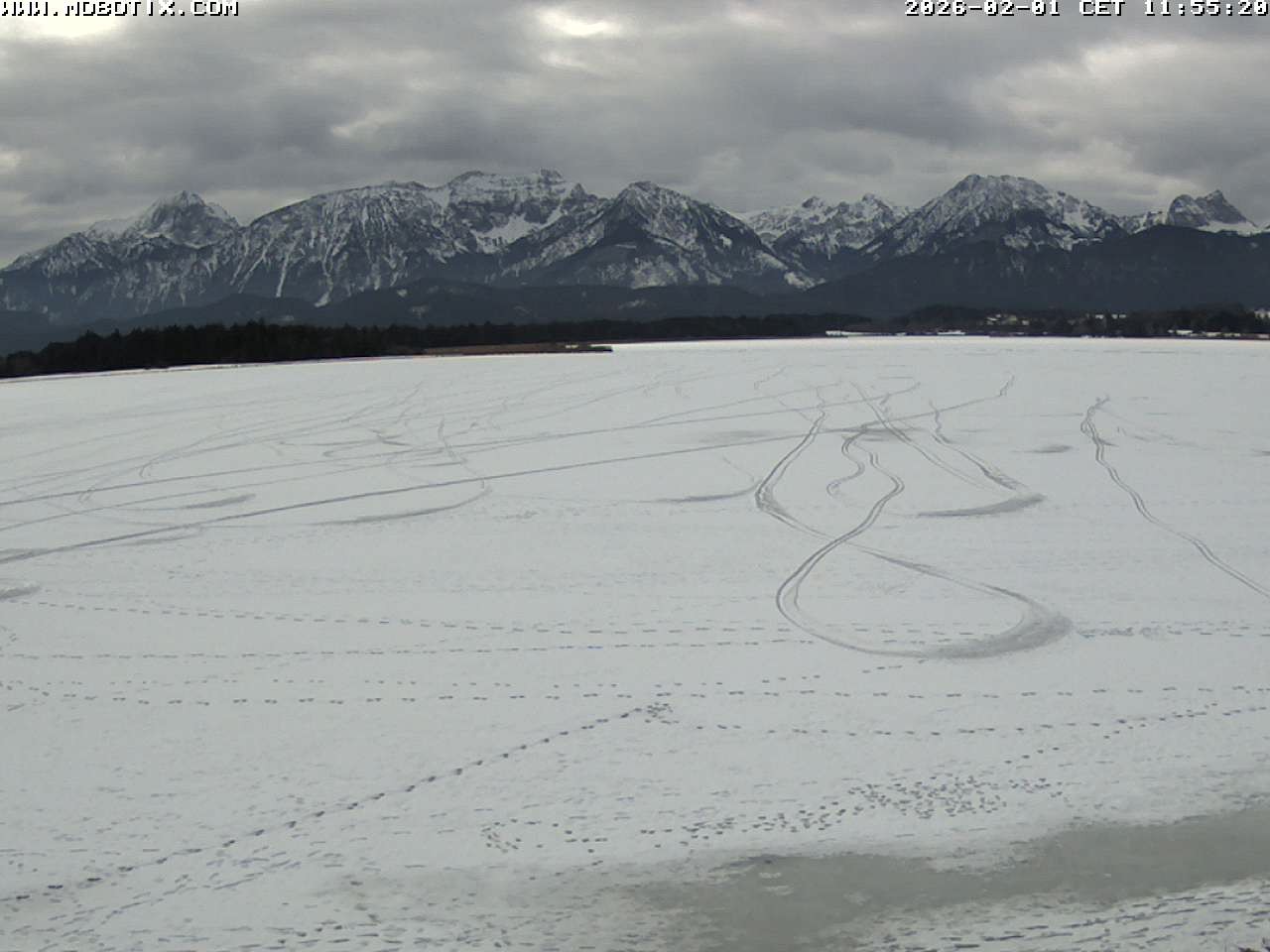 Archiv Foto Webcam Restaurant Fischerhütte am Hopfensee
