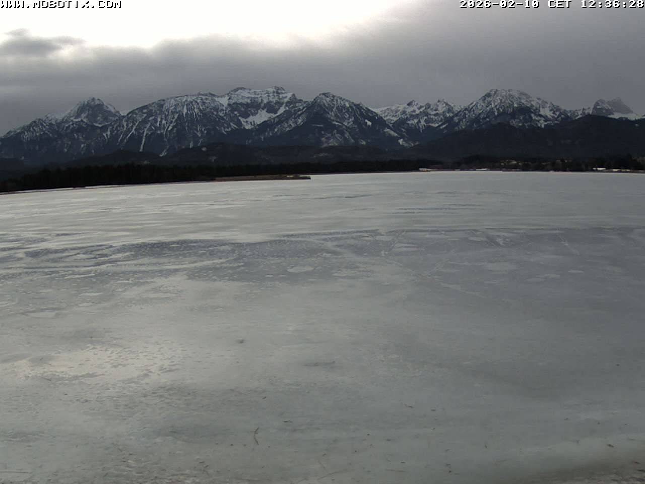 Archiv Foto Webcam Restaurant Fischerhütte am Hopfensee