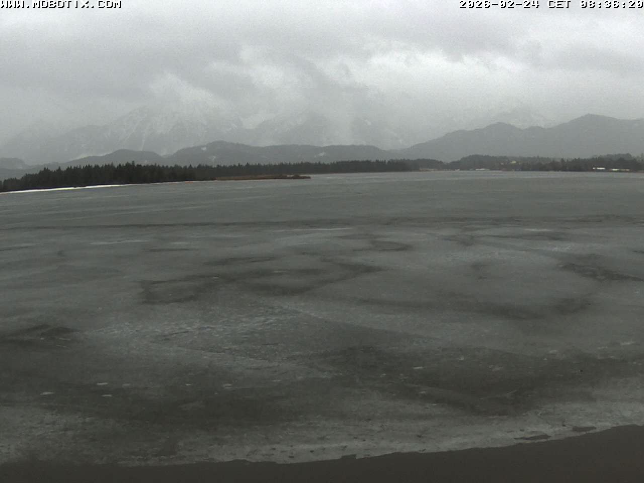 Archiv Foto Webcam Restaurant Fischerhütte am Hopfensee