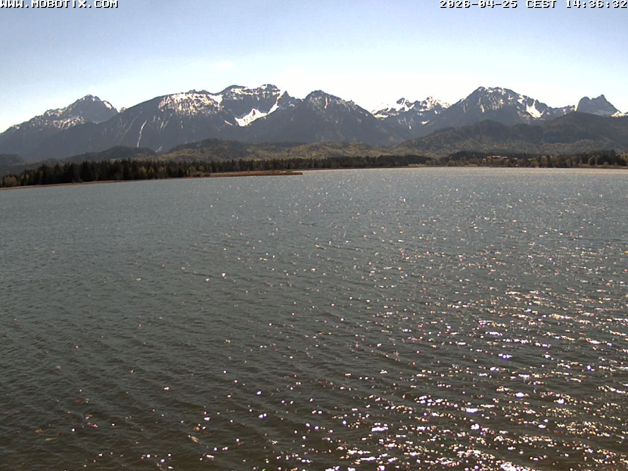 Archived image Webcam Hopfensee: View from Restaurant Fischerhütte