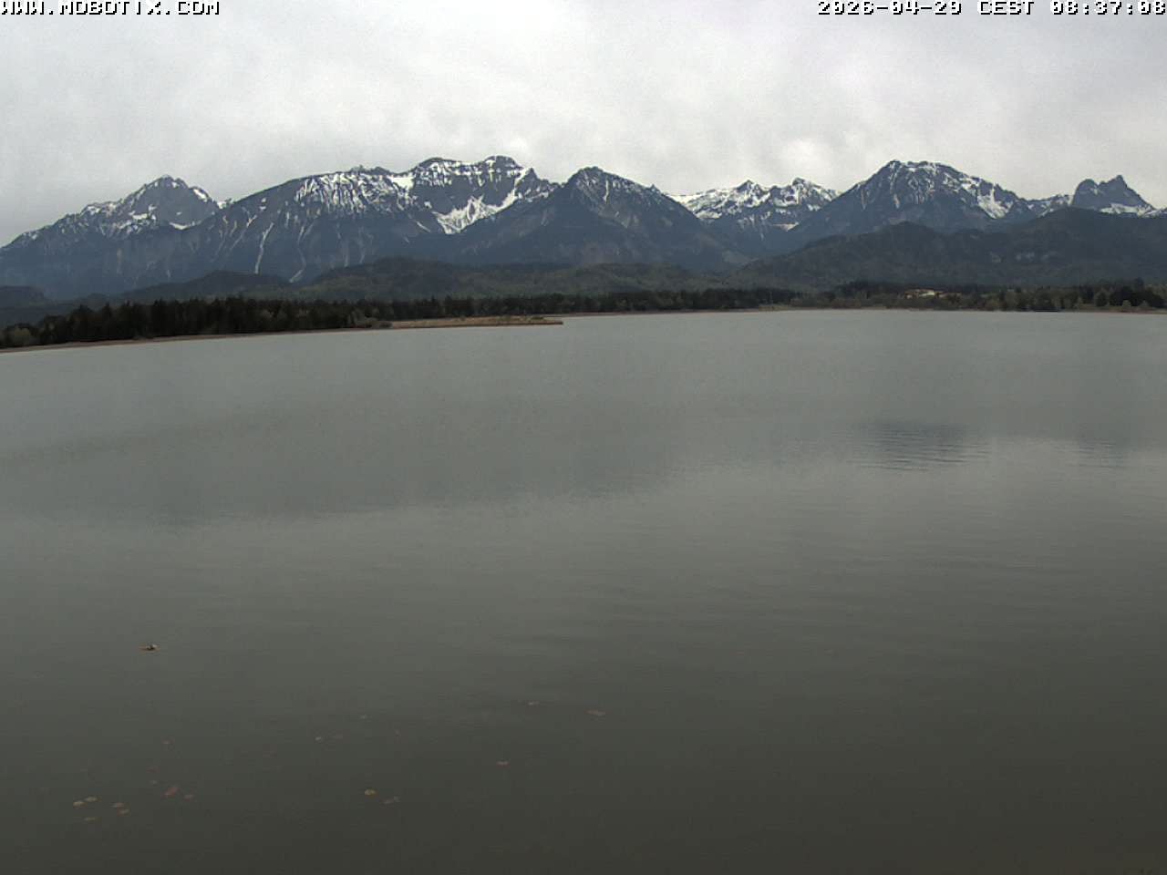 Archiv Foto Webcam Restaurant Fischerhütte am Hopfensee