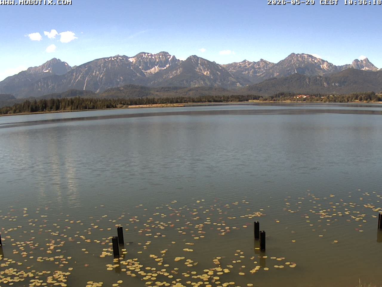 Archiv Foto Webcam Restaurant Fischerhütte am Hopfensee