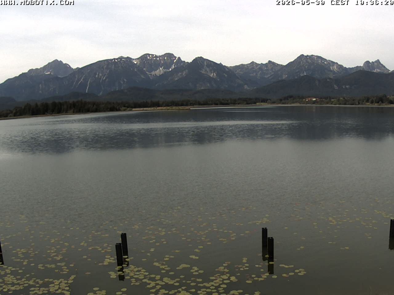 Archiv Foto Webcam Restaurant Fischerhütte am Hopfensee