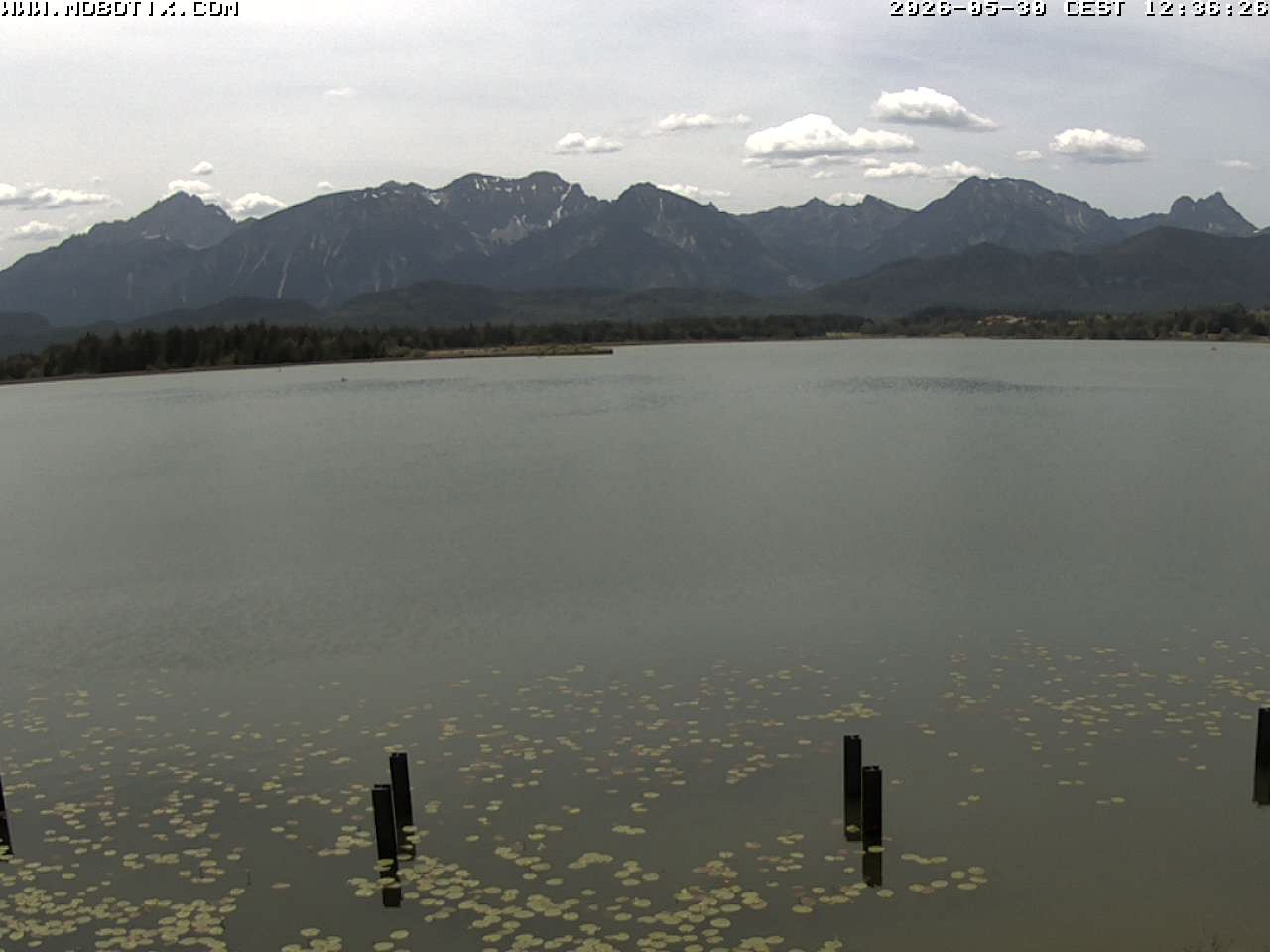 Archiv Foto Webcam Restaurant Fischerhütte am Hopfensee