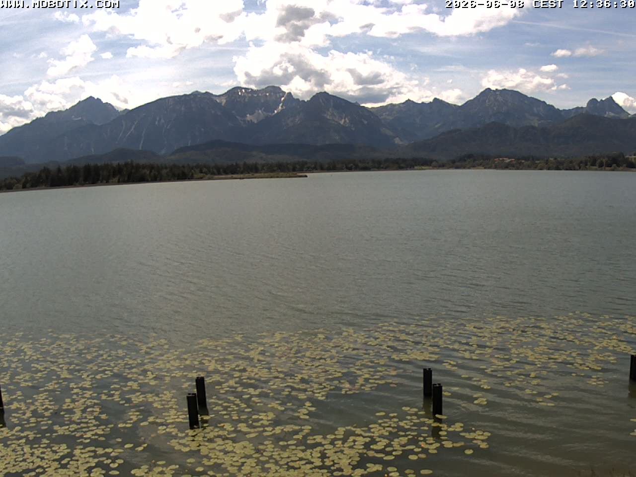 Archiv Foto Webcam Restaurant Fischerhütte am Hopfensee