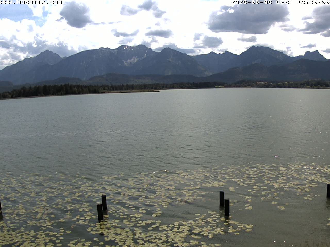Archiv Foto Webcam Restaurant Fischerhütte am Hopfensee