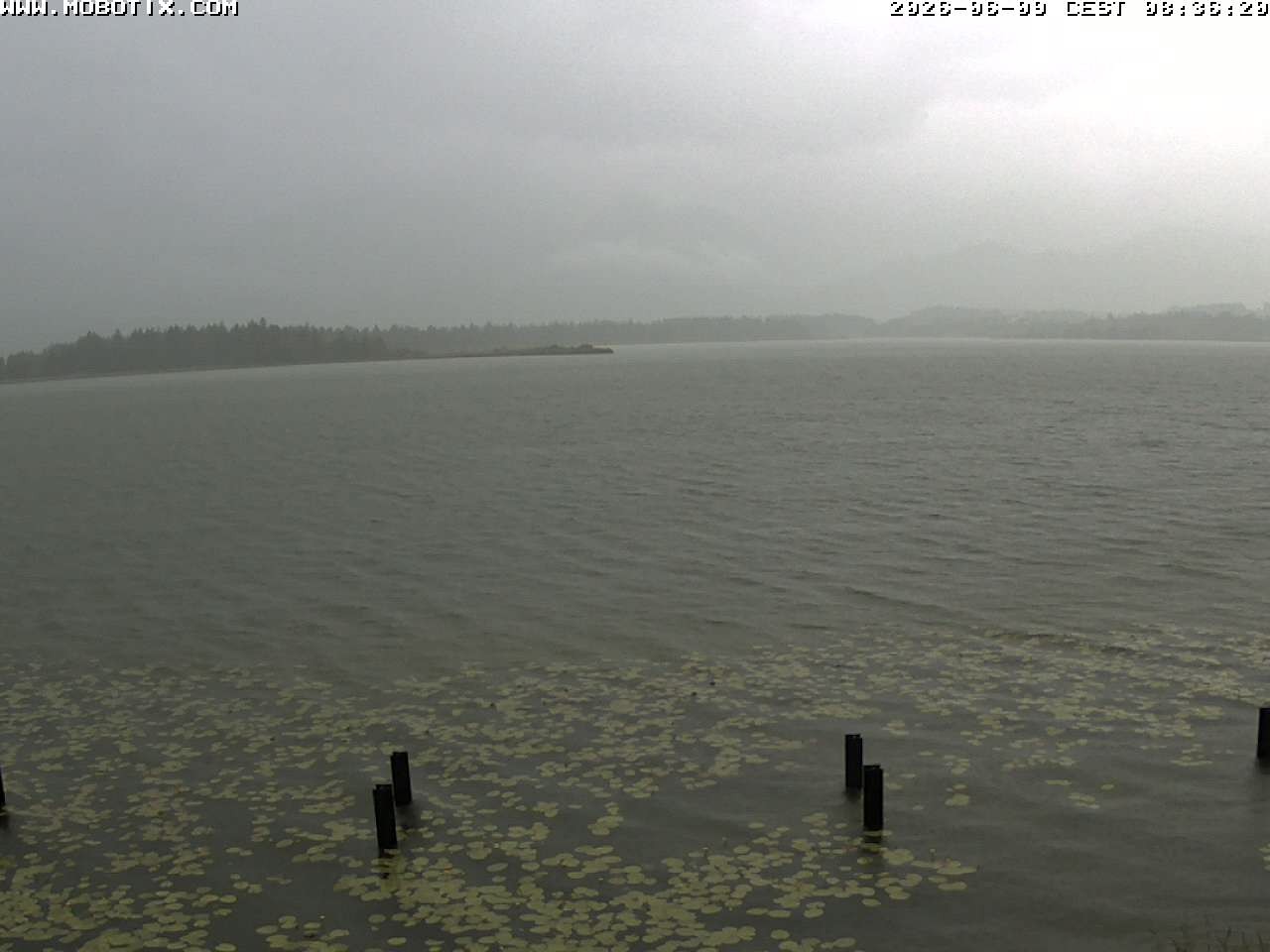 Archiv Foto Webcam Restaurant Fischerhütte am Hopfensee