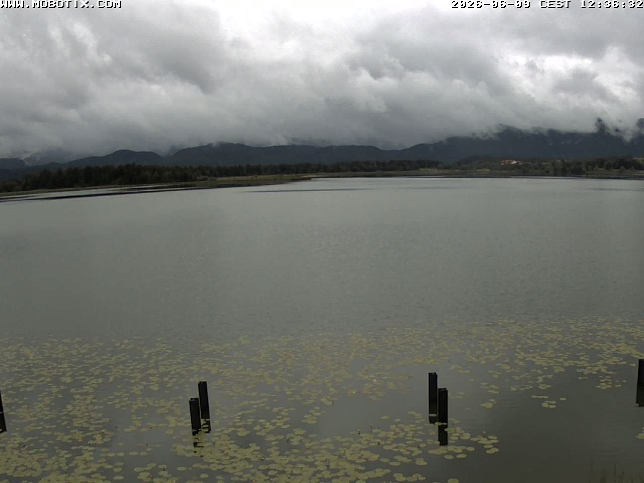 Archiv Foto Webcam Restaurant Fischerhütte am Hopfensee