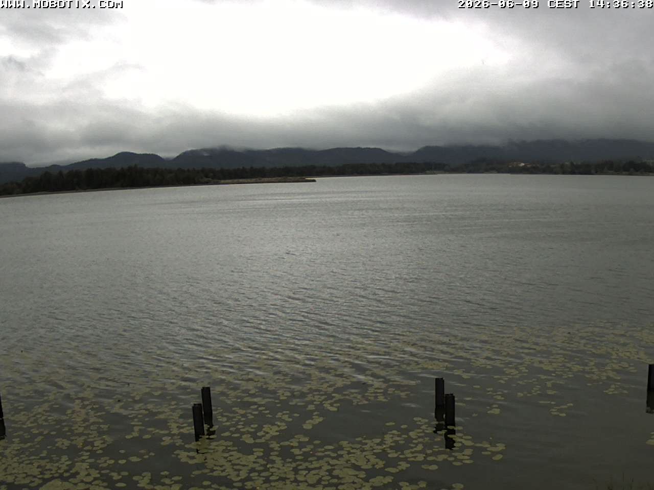 Archiv Foto Webcam Restaurant Fischerhütte am Hopfensee