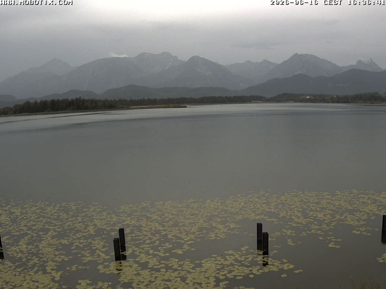 Archived image Webcam Hopfensee: View from Restaurant Fischerhütte