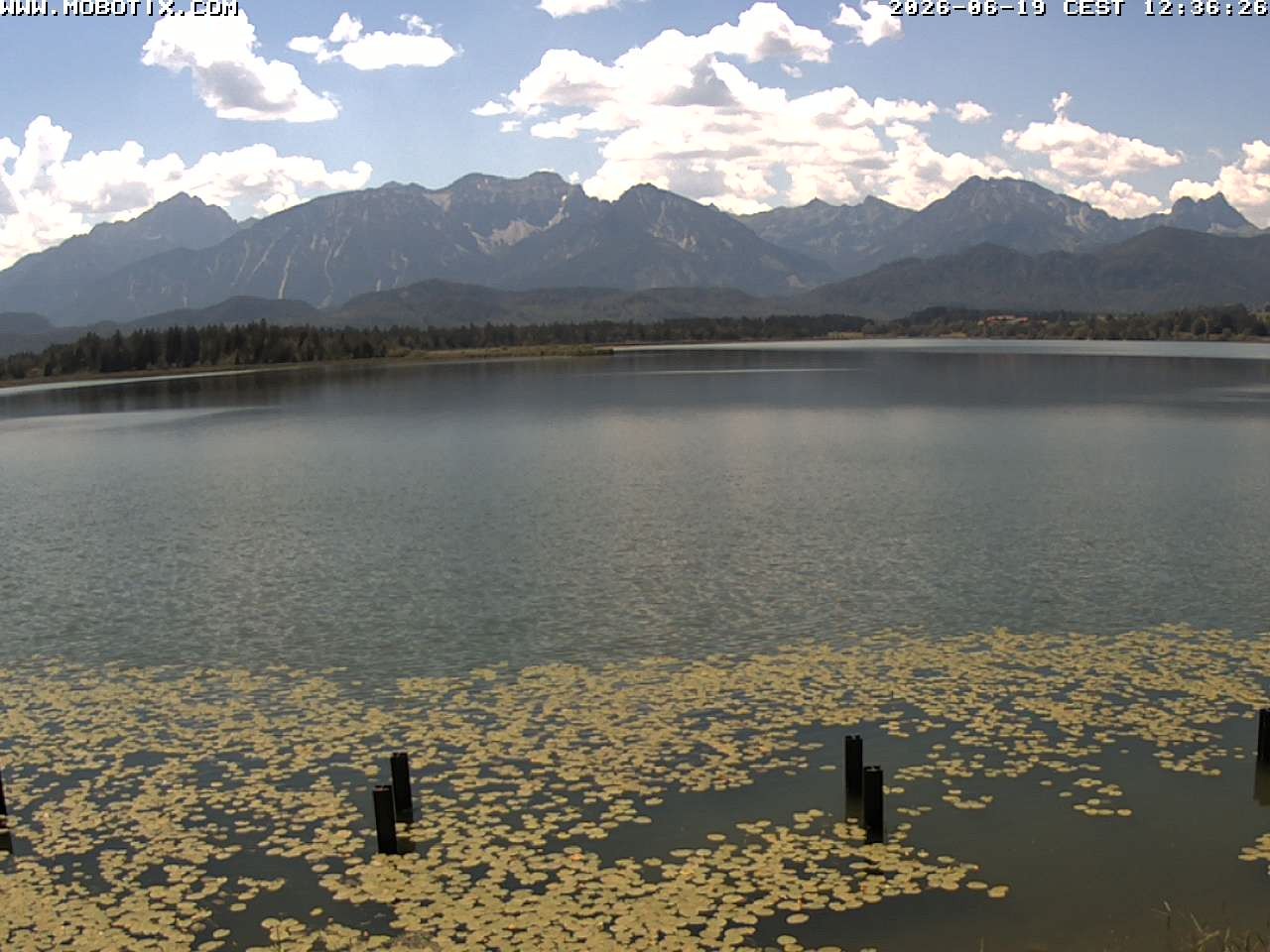 Archiv Foto Webcam Restaurant Fischerhütte am Hopfensee