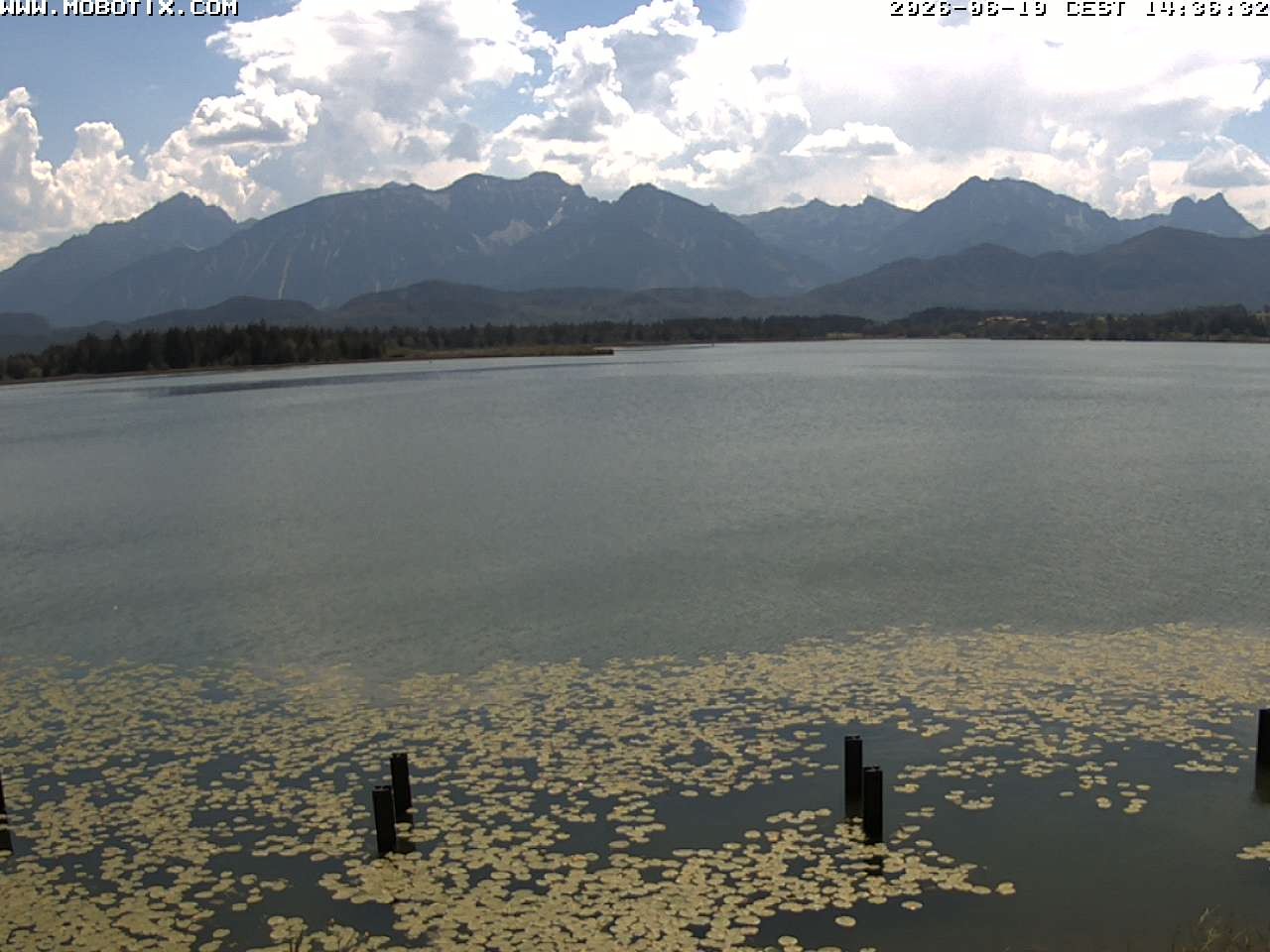 Archiv Foto Webcam Restaurant Fischerhütte am Hopfensee