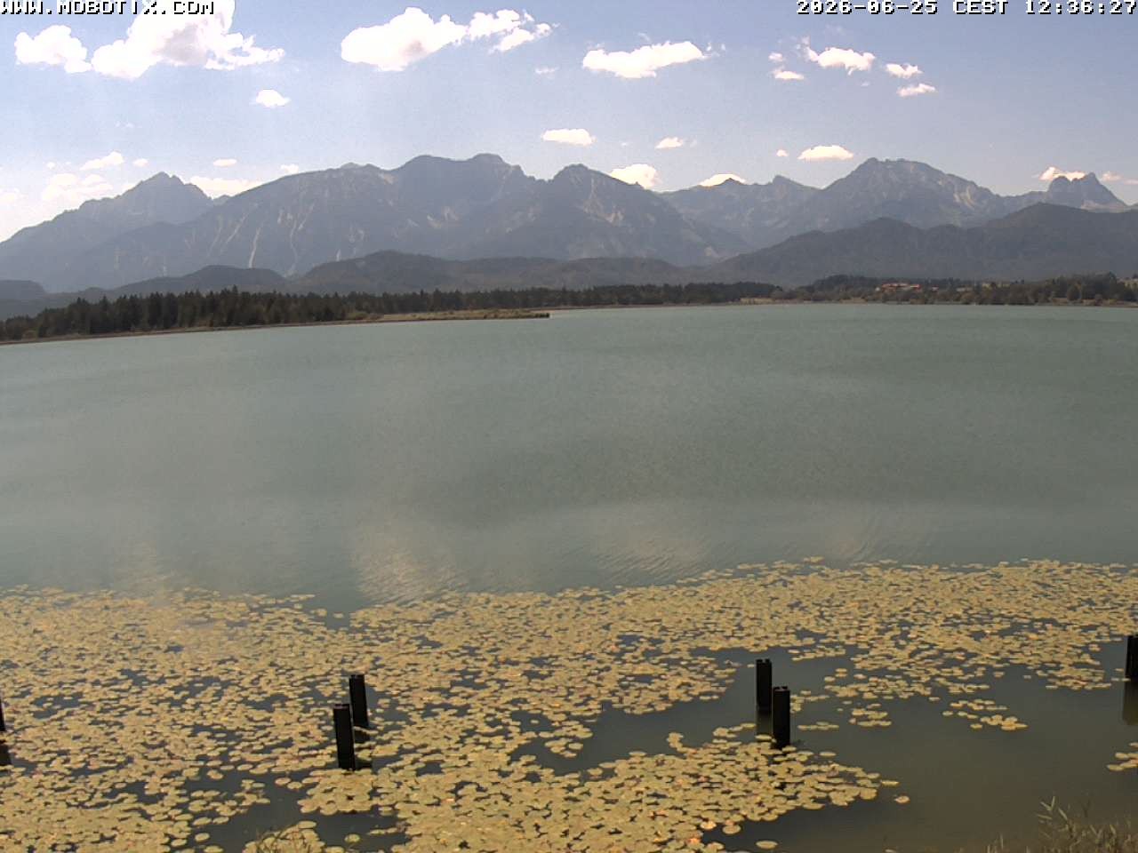 Archived image Webcam Hopfensee: View from Restaurant Fischerhütte