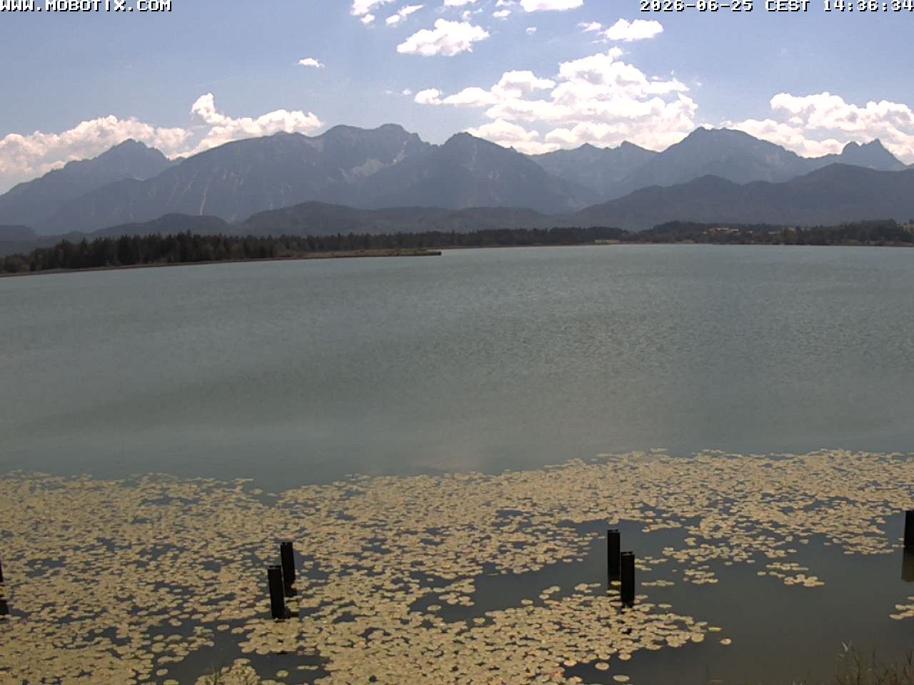 Archived image Webcam Hopfensee: View from Restaurant Fischerhütte