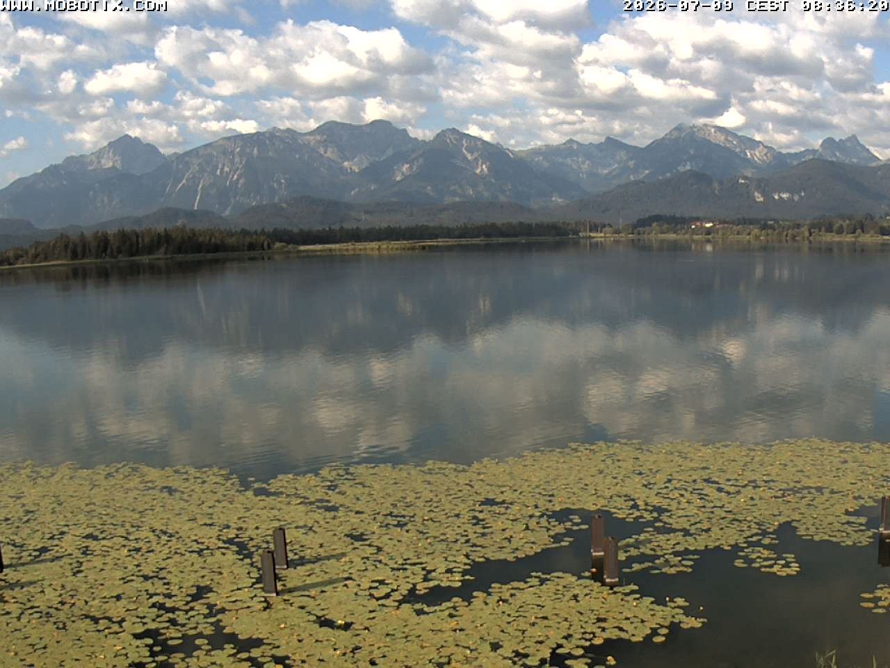 Archiv Foto Webcam Restaurant Fischerhütte am Hopfensee