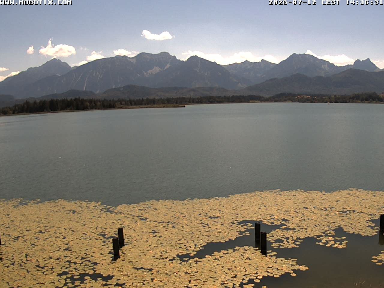 Archived image Webcam Hopfensee: View from Restaurant Fischerhütte