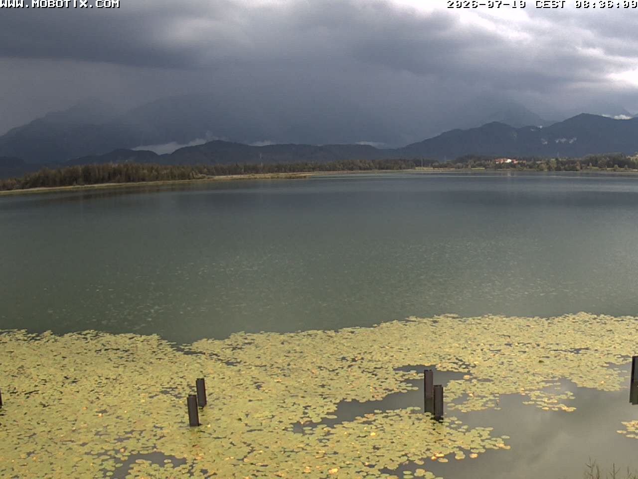 Archived image Webcam Hopfensee: View from Restaurant Fischerhütte