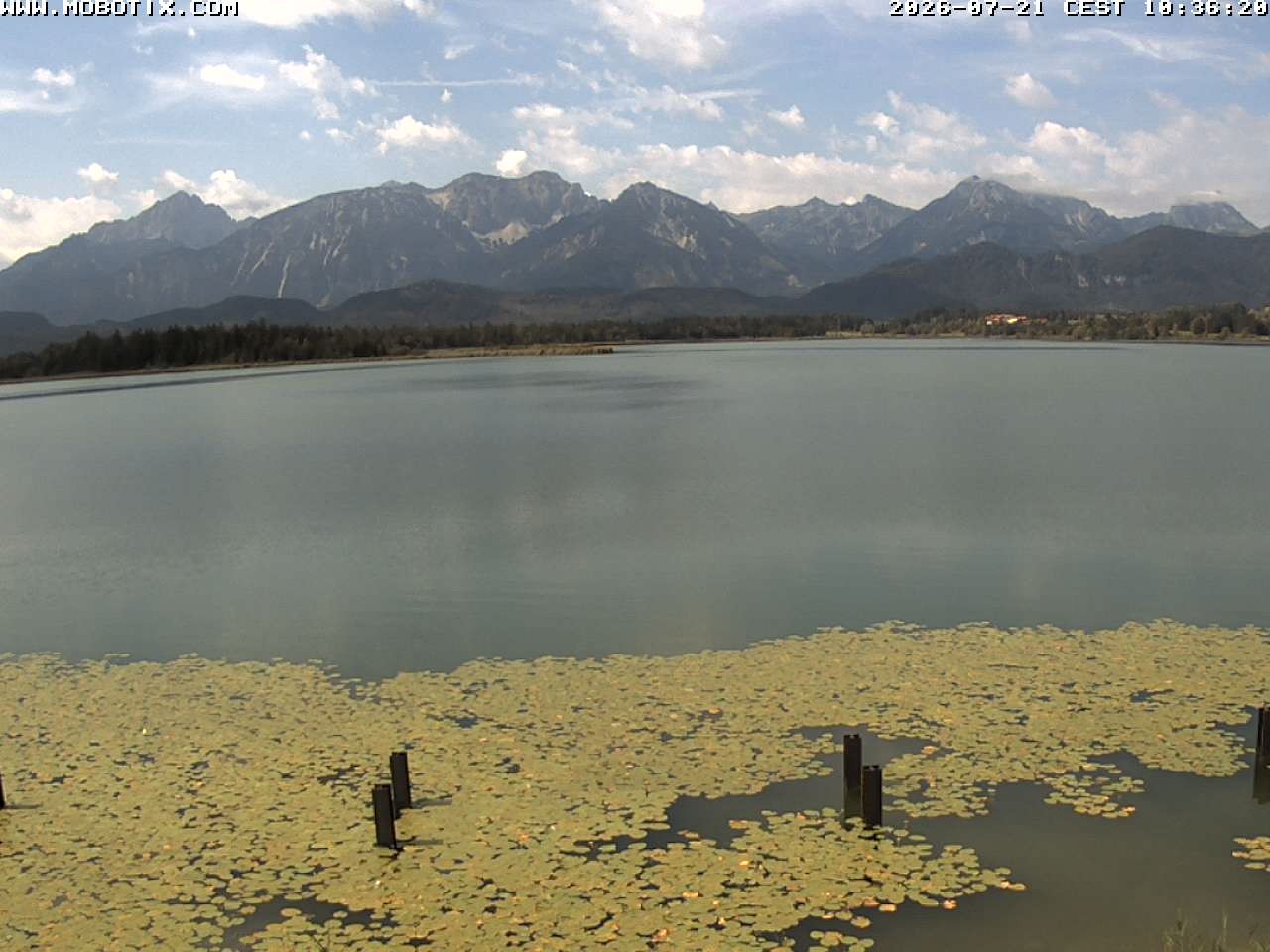 Archived image Webcam Hopfensee: View from Restaurant Fischerhütte