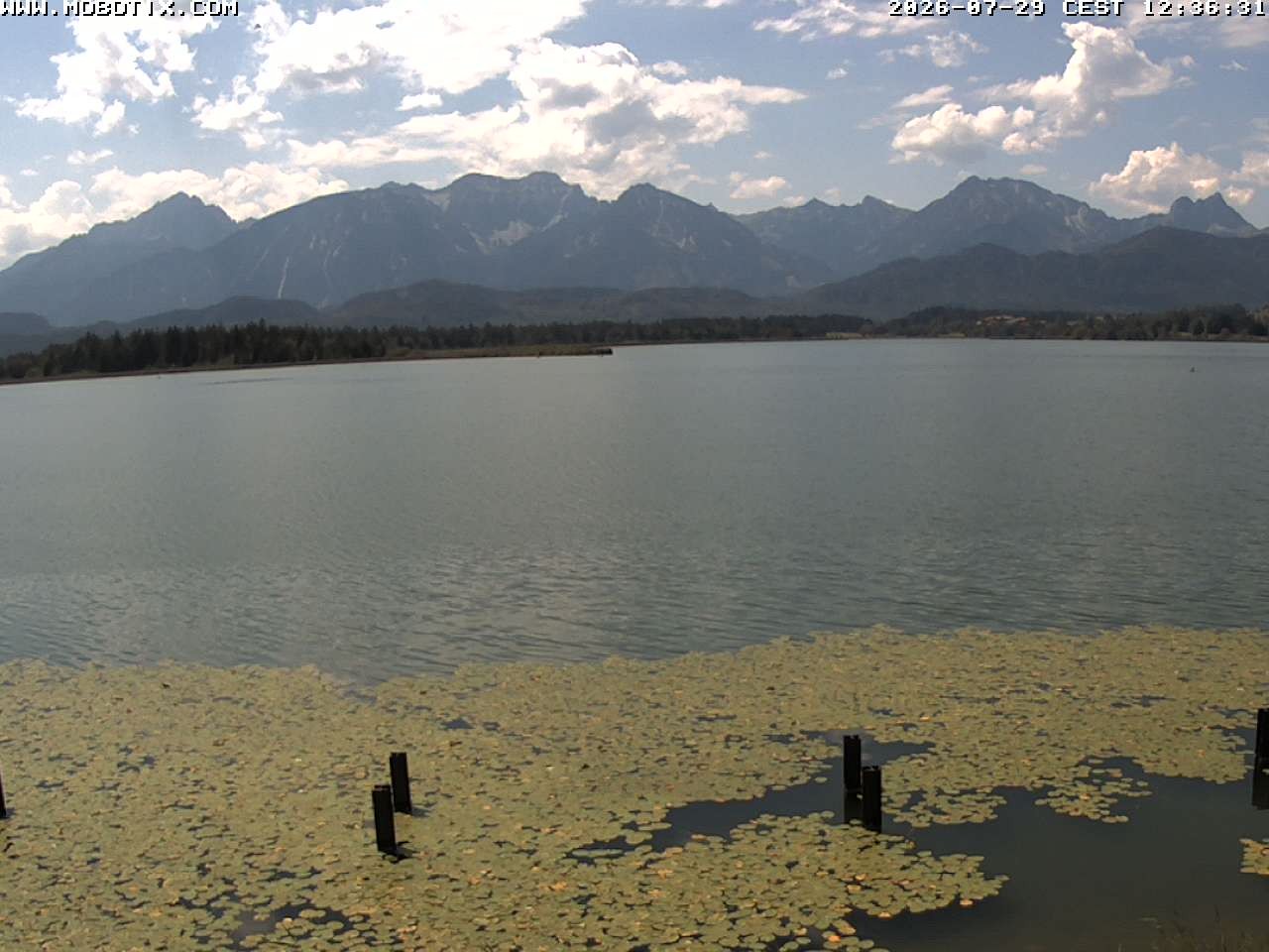 Archiv Foto Webcam Restaurant Fischerhütte am Hopfensee