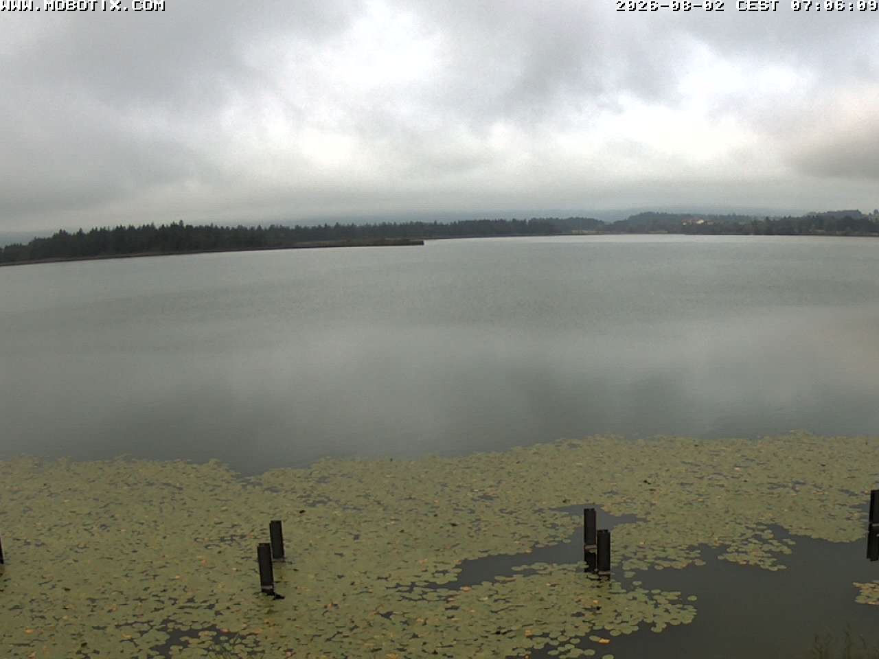 Archived image Webcam Hopfensee: View from Restaurant Fischerhütte