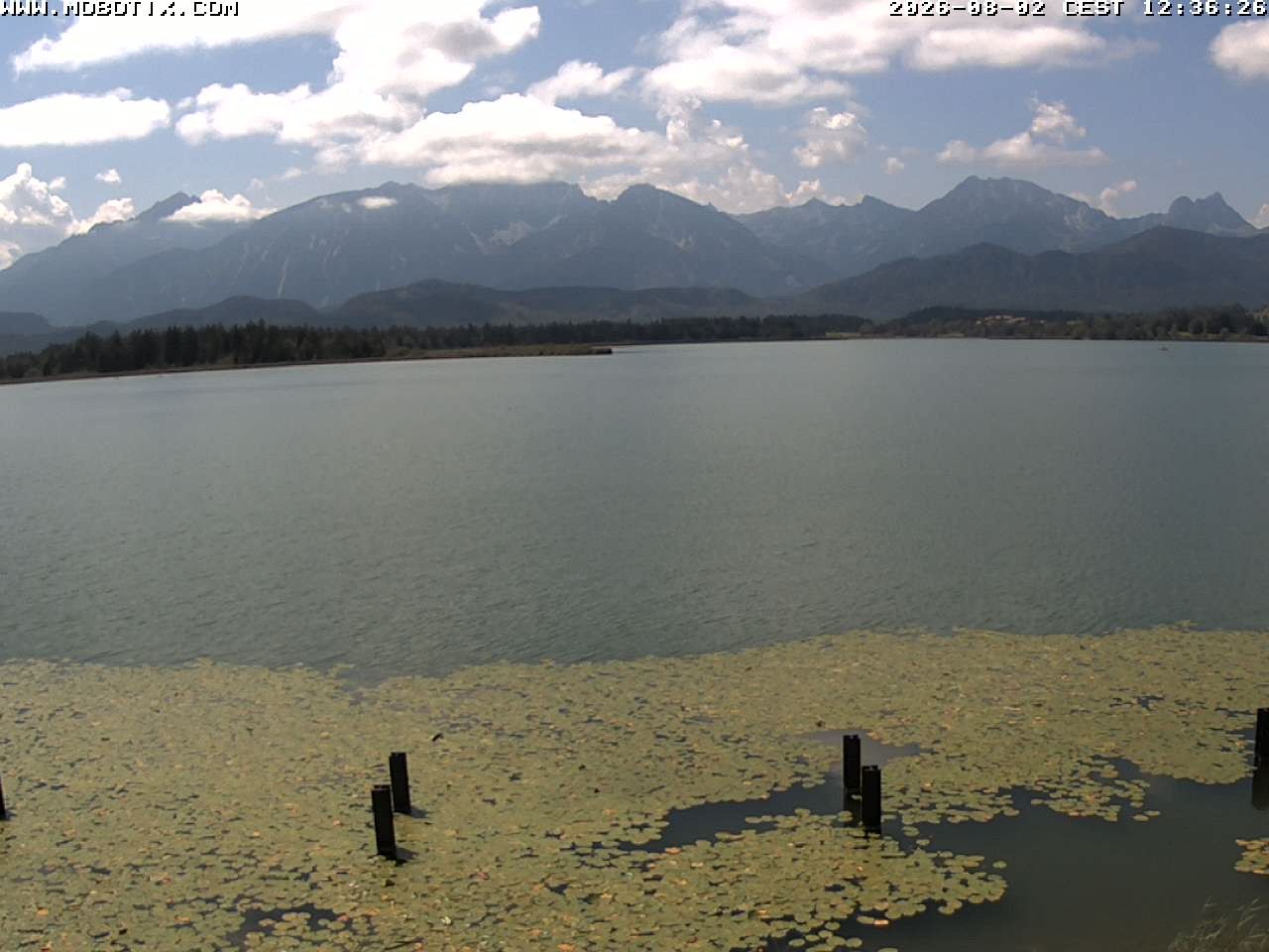 Archived image Webcam Hopfensee: View from Restaurant Fischerhütte