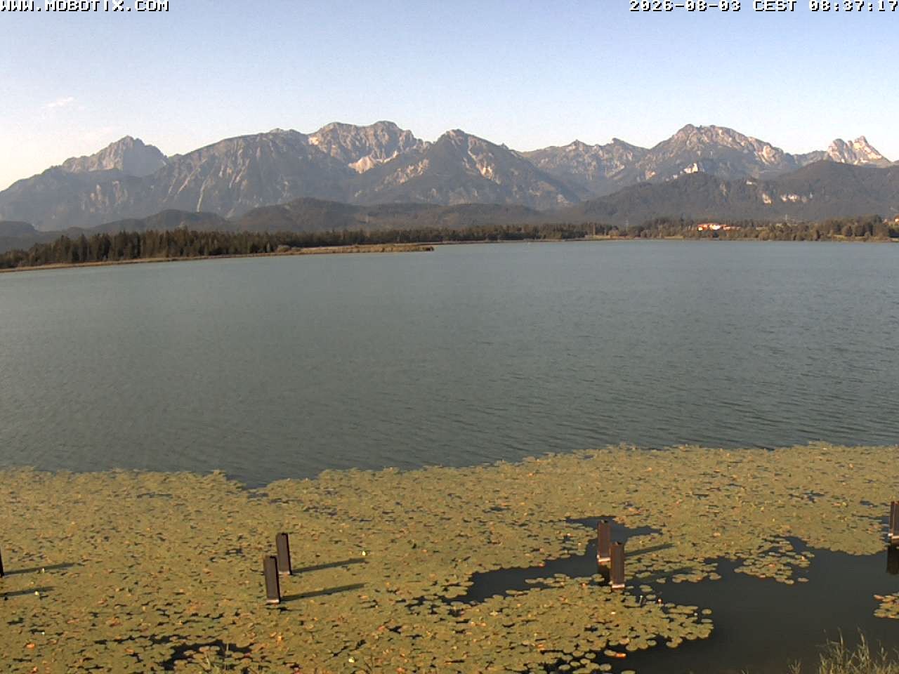 Archived image Webcam Hopfensee: View from Restaurant Fischerhütte