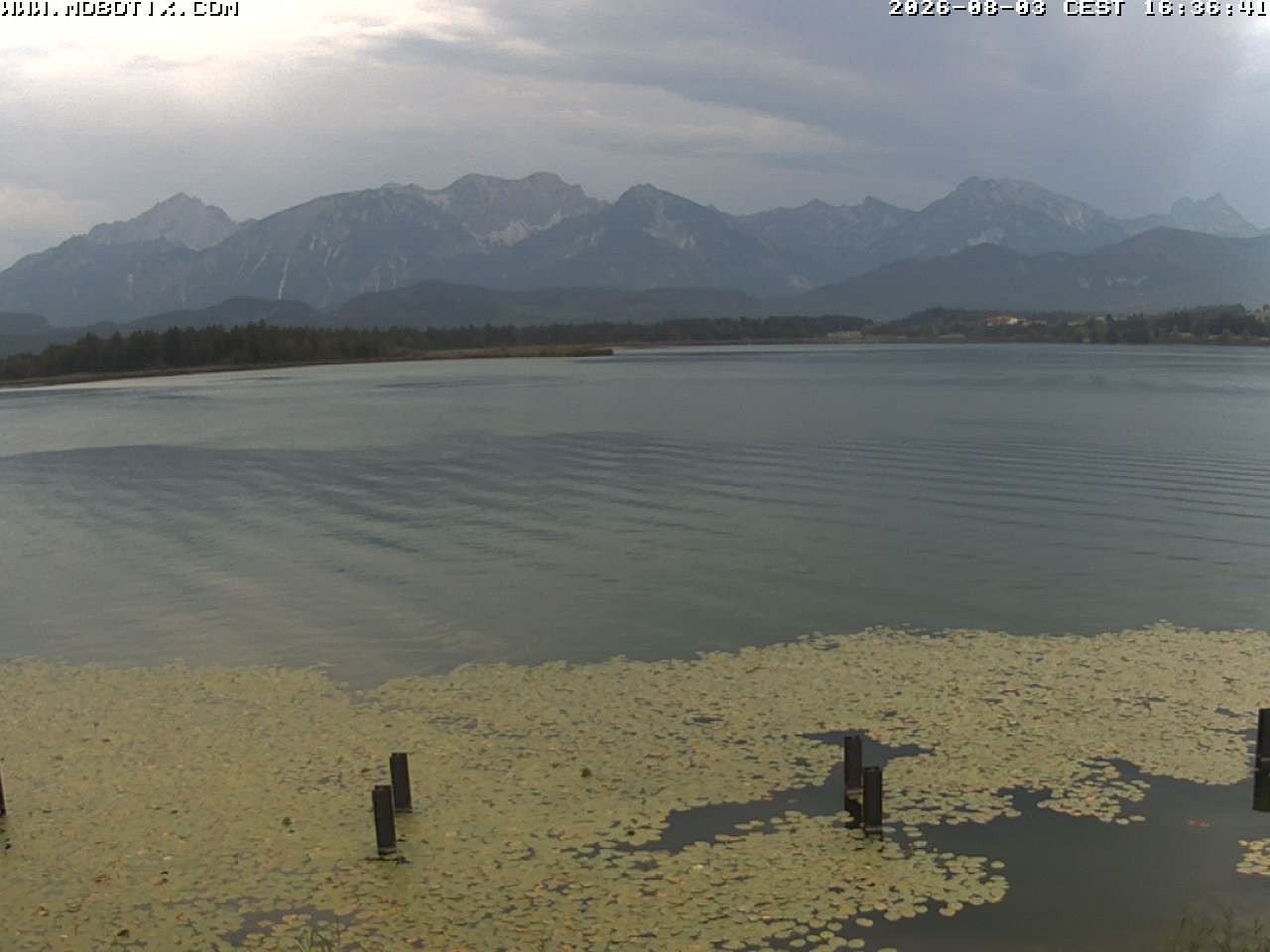 Archived image Webcam Hopfensee: View from Restaurant Fischerhütte