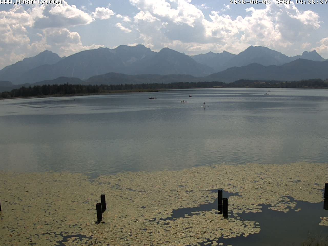 Archiv Foto Webcam Restaurant Fischerhütte am Hopfensee
