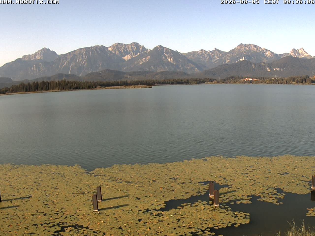 Archived image Webcam Hopfensee: View from Restaurant Fischerhütte