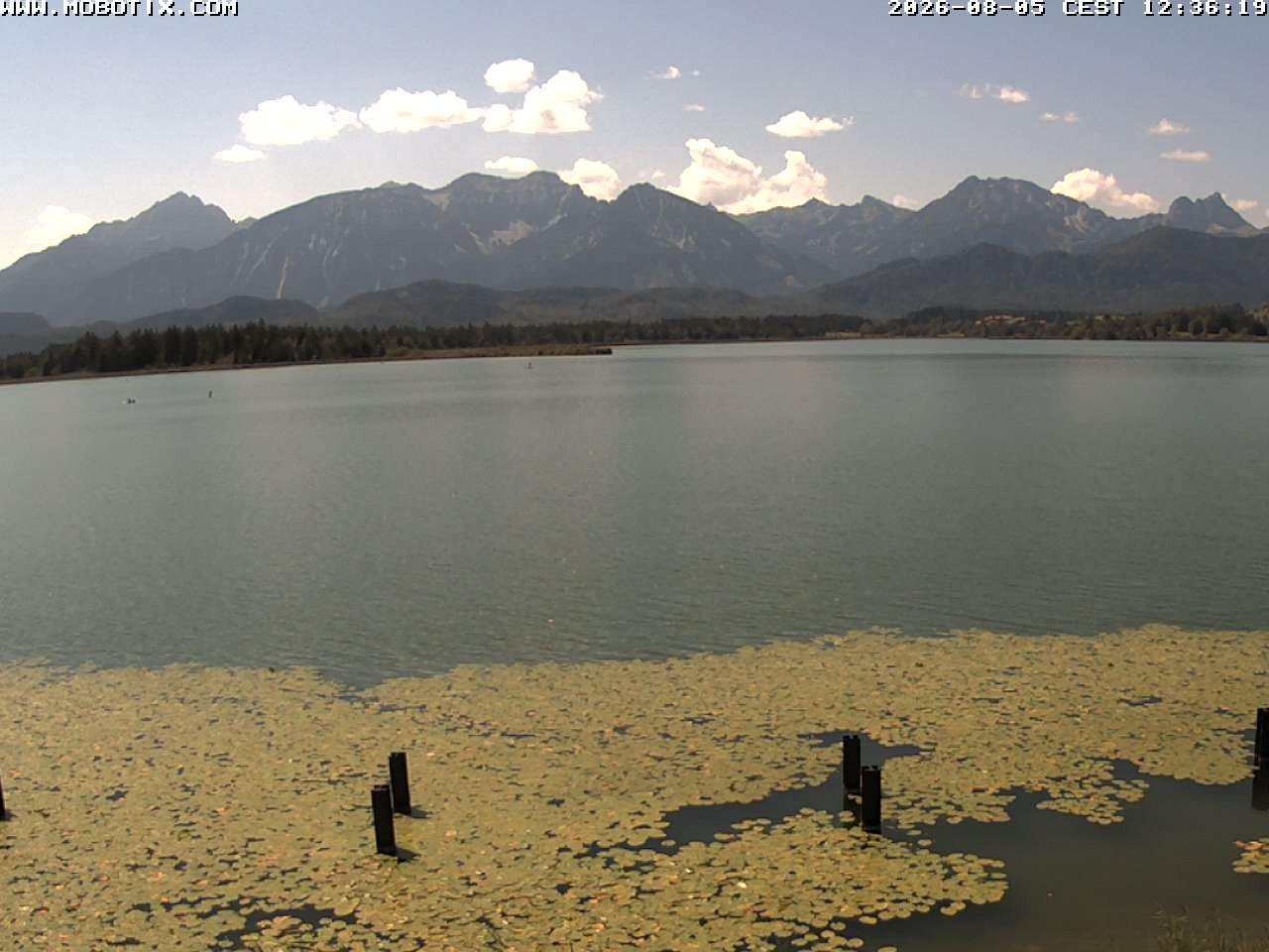 Archived image Webcam Hopfensee: View from Restaurant Fischerhütte
