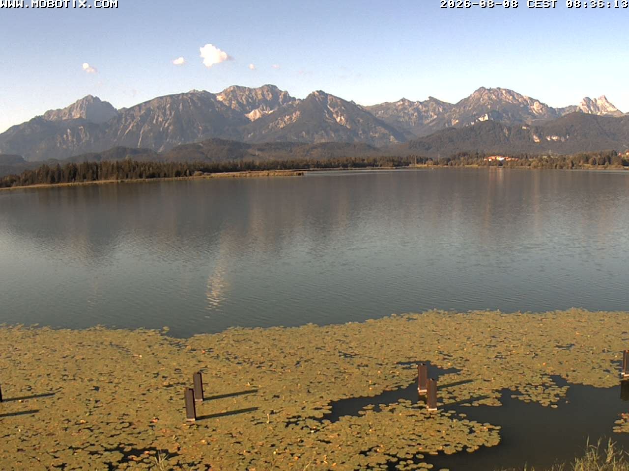 Archiv Foto Webcam Restaurant Fischerhütte am Hopfensee