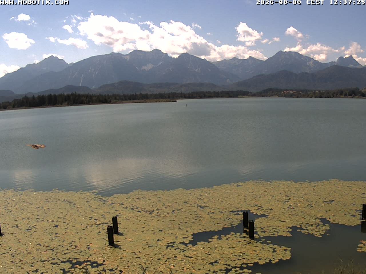 Archiv Foto Webcam Restaurant Fischerhütte am Hopfensee