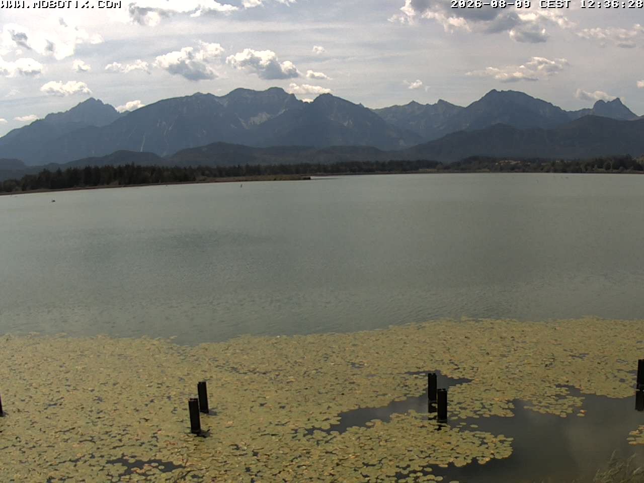 Archiv Foto Webcam Restaurant Fischerhütte am Hopfensee