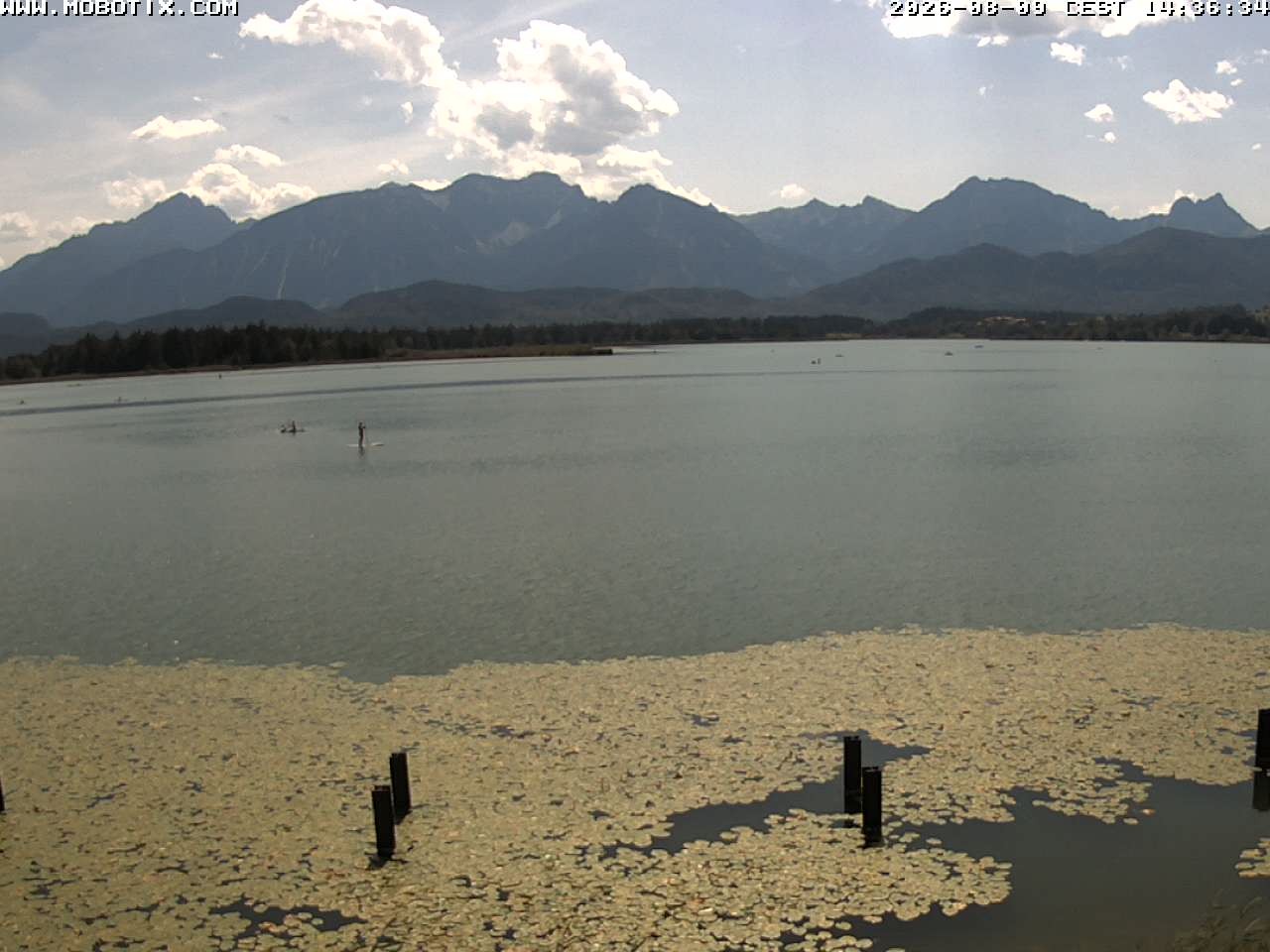 Archiv Foto Webcam Restaurant Fischerhütte am Hopfensee