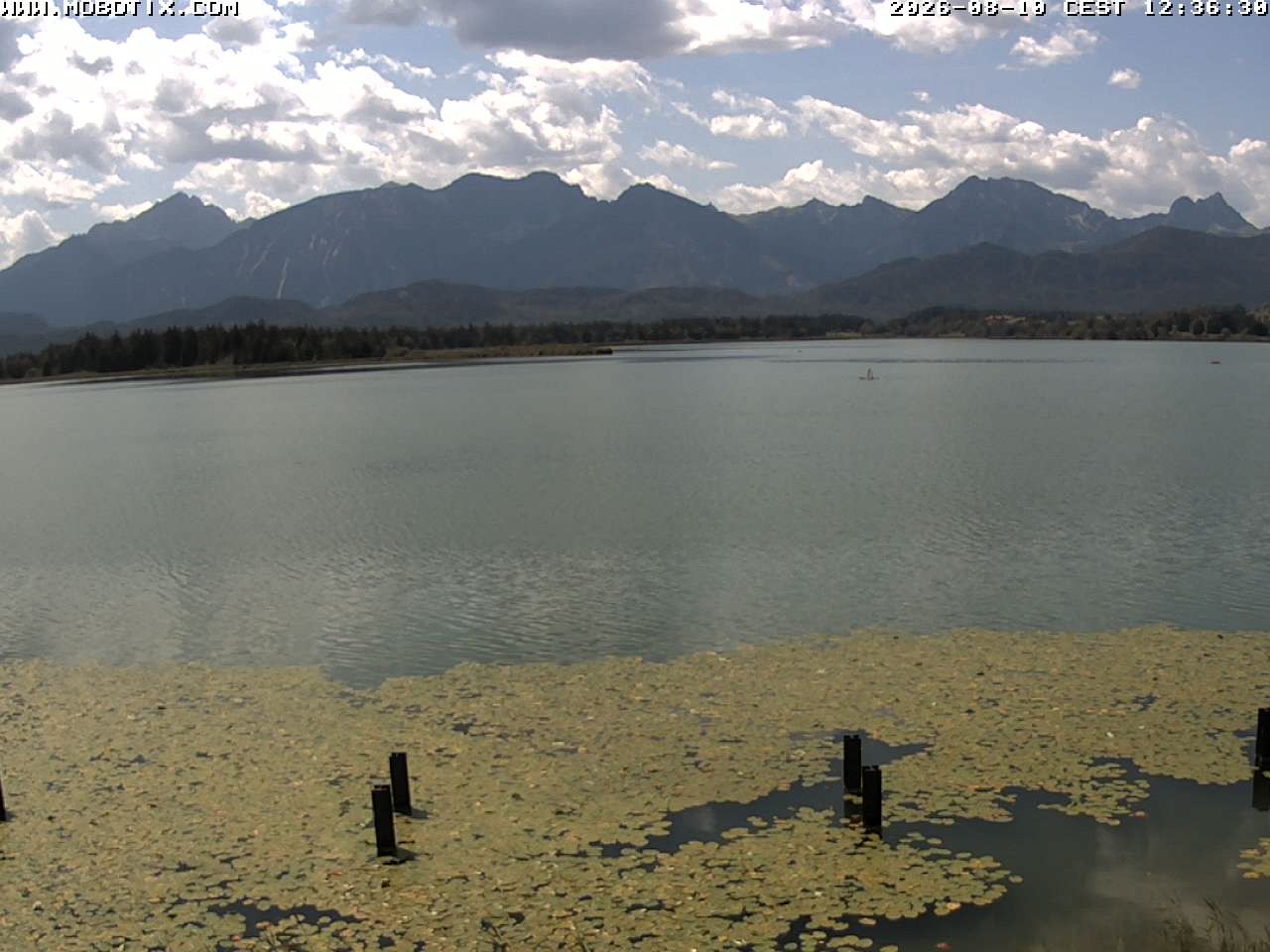 Archiv Foto Webcam Restaurant Fischerhütte am Hopfensee