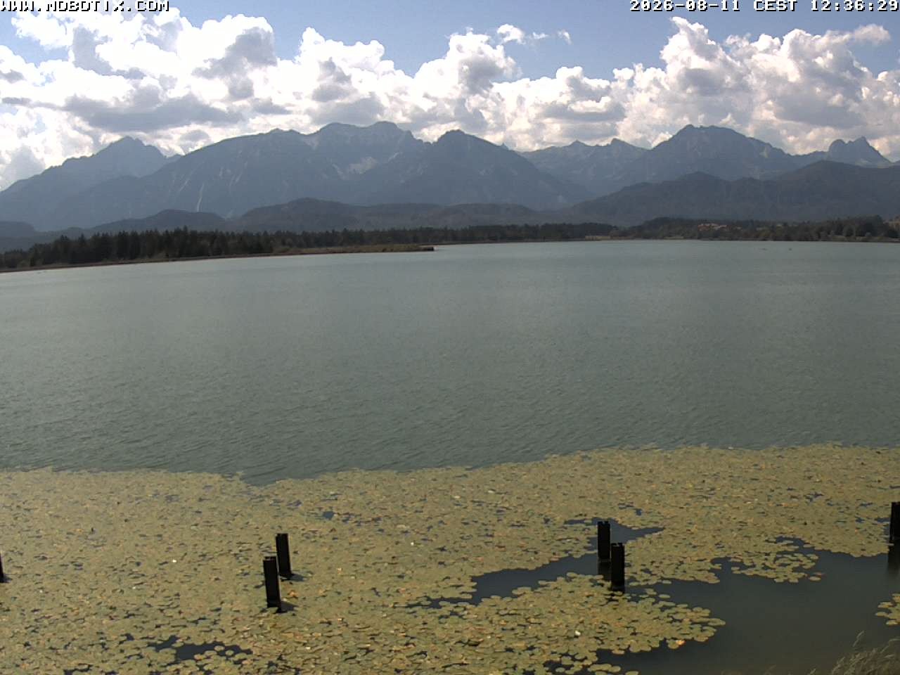 Archiv Foto Webcam Restaurant Fischerhütte am Hopfensee