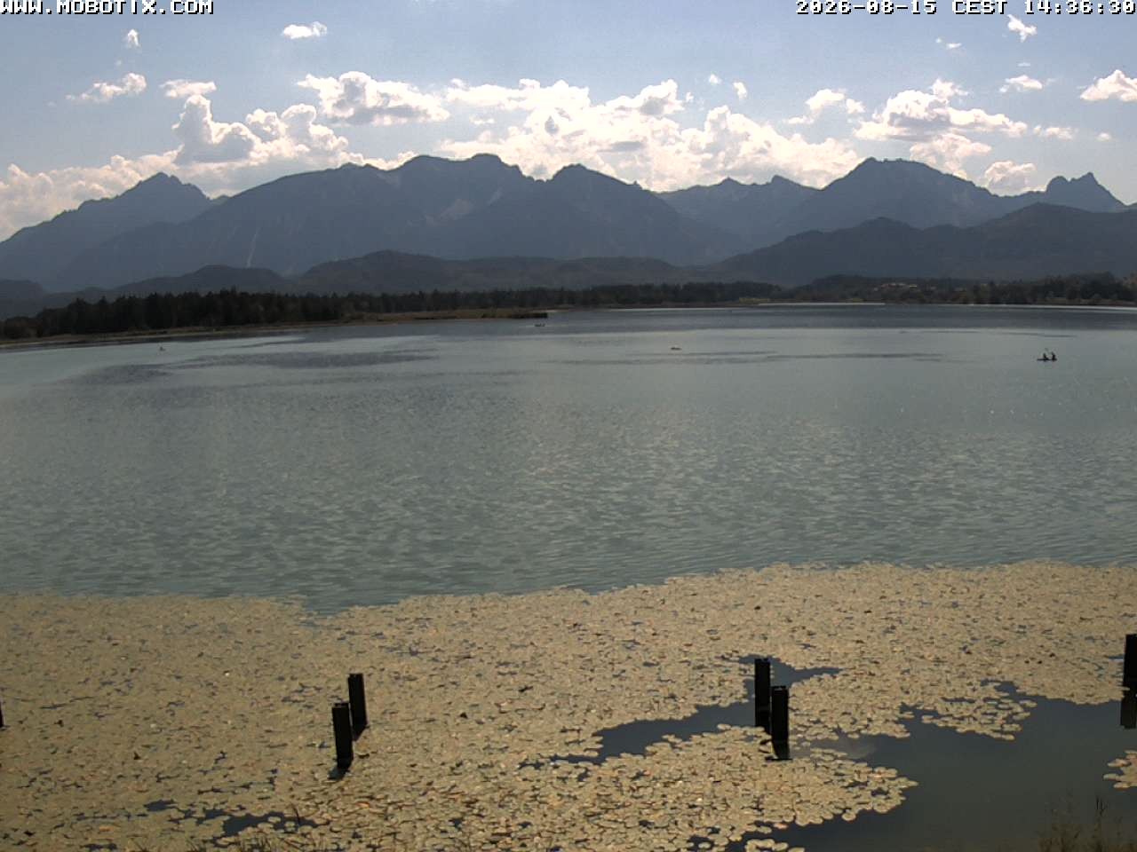 Archived image Webcam Hopfensee: View from Restaurant Fischerhütte