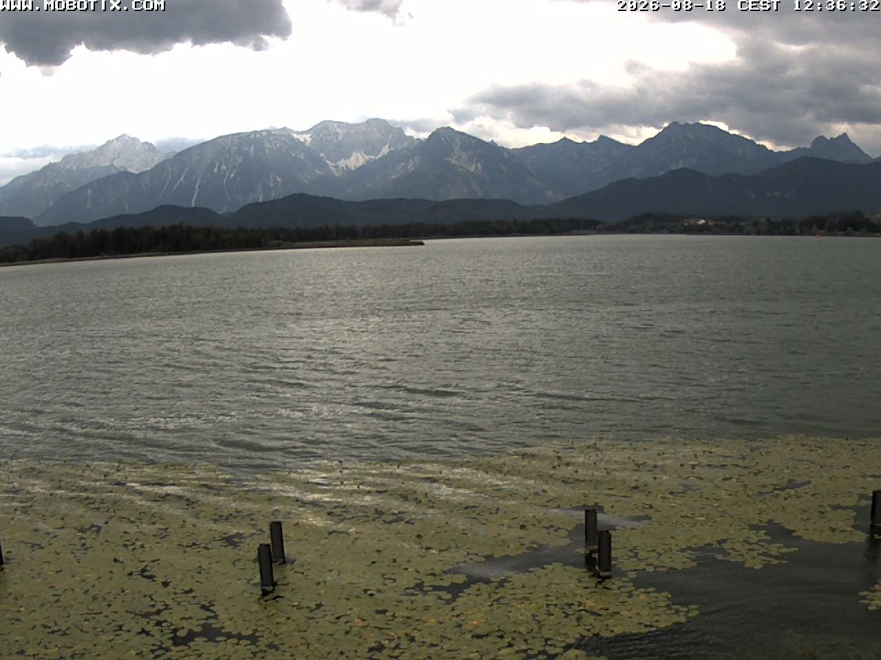 Archived image Webcam Hopfensee: View from Restaurant Fischerhütte