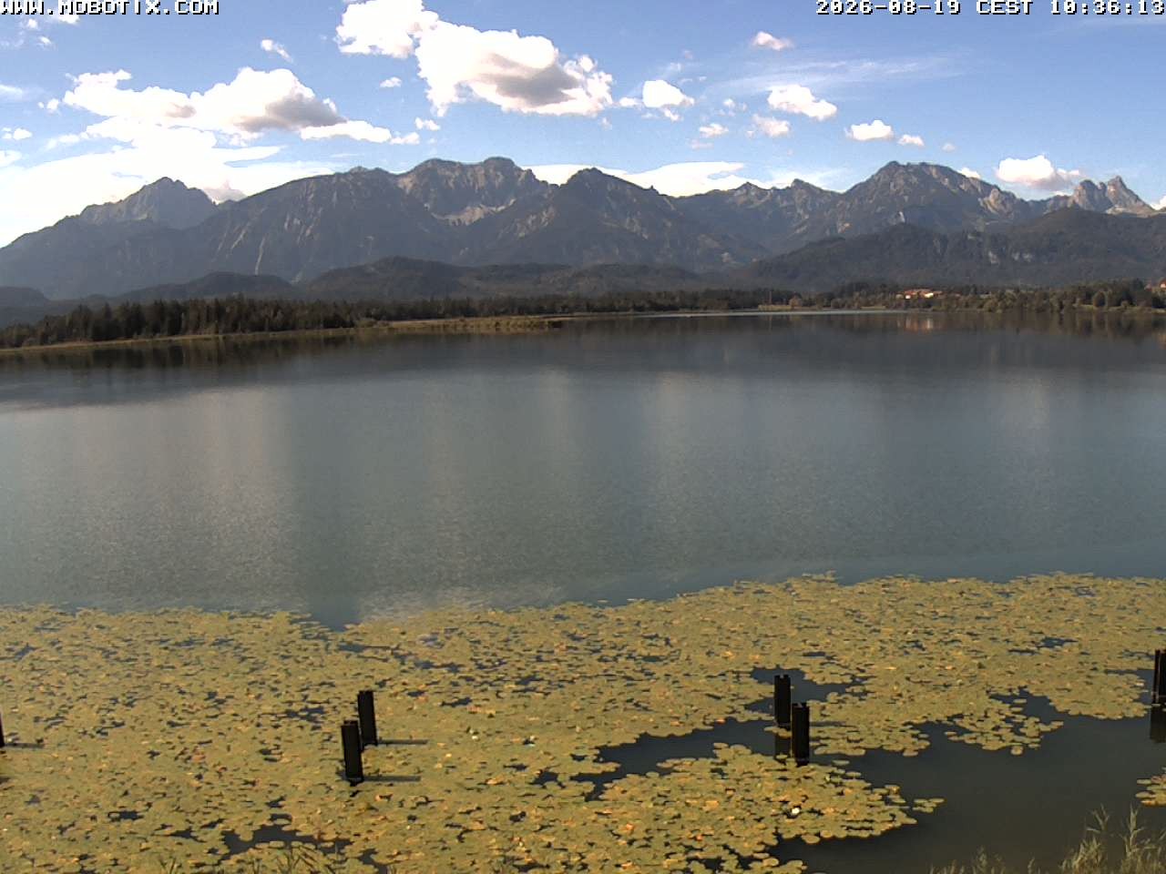 Archived image Webcam Hopfensee: View from Restaurant Fischerhütte