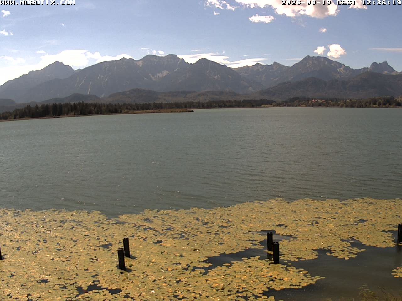 Archived image Webcam Hopfensee: View from Restaurant Fischerhütte
