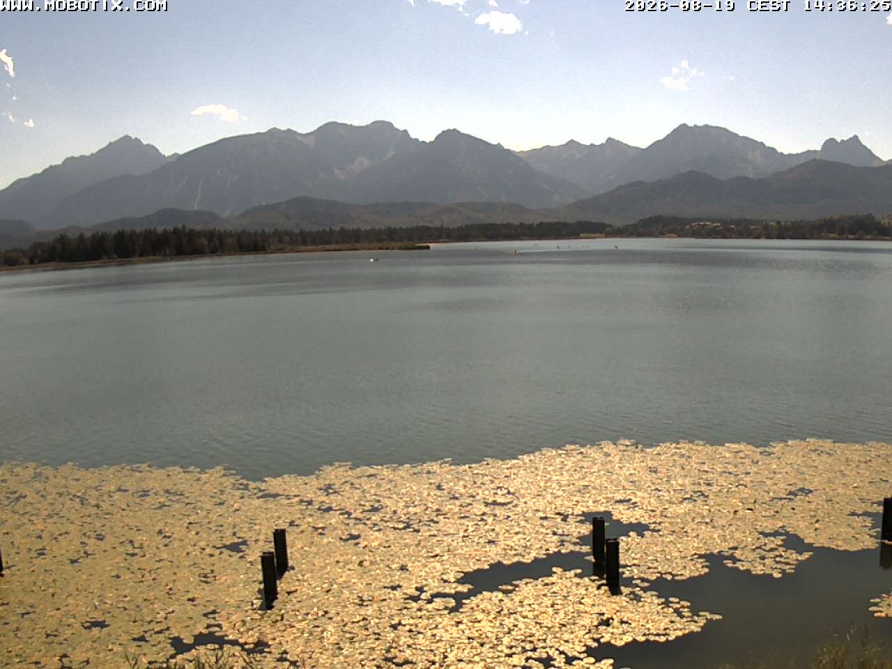 Archived image Webcam Hopfensee: View from Restaurant Fischerhütte
