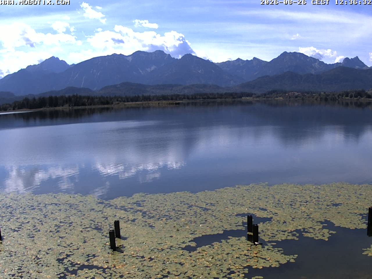 Archiv Foto Webcam Restaurant Fischerhütte am Hopfensee