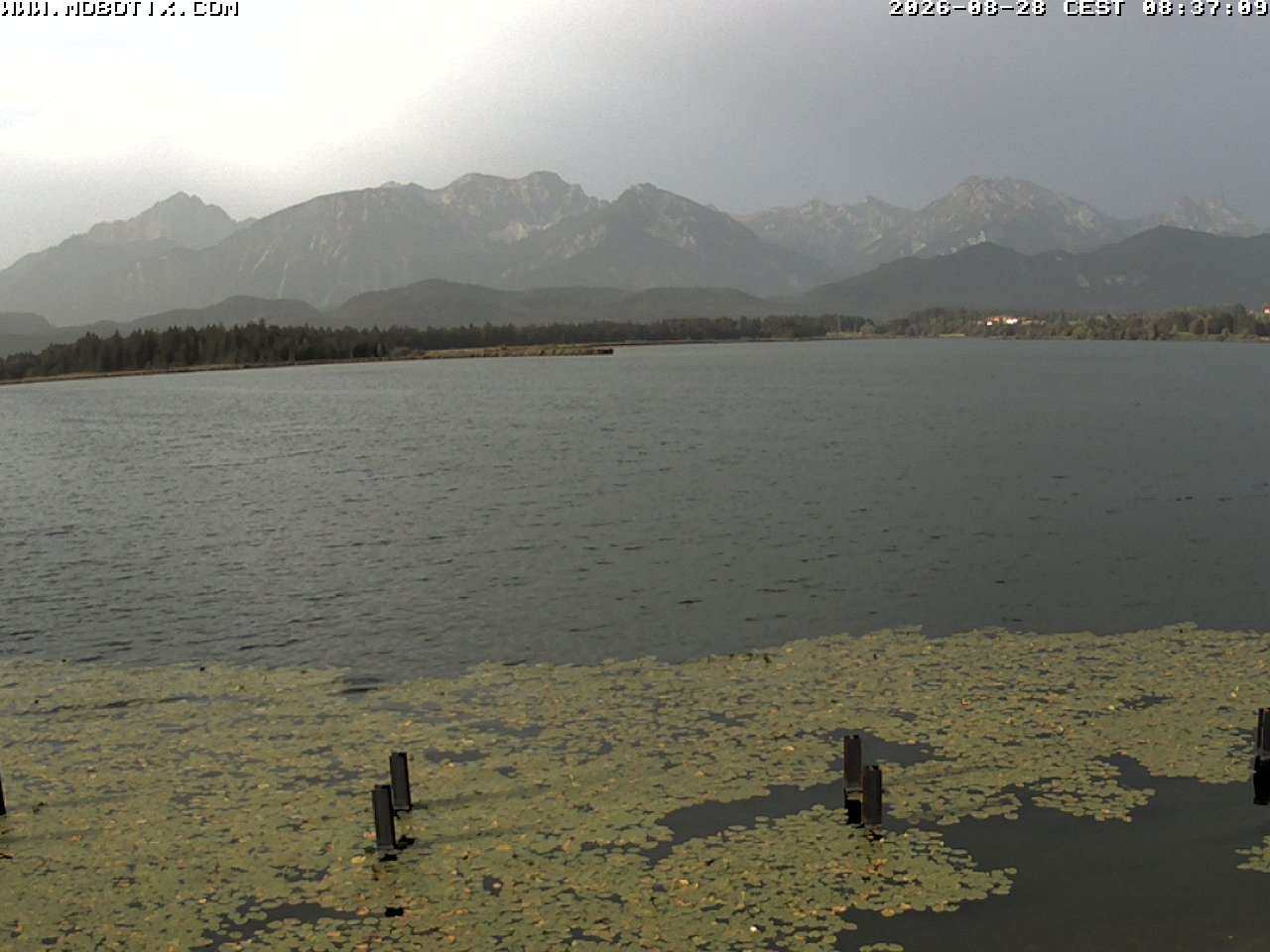 Archiv Foto Webcam Restaurant Fischerhütte am Hopfensee
