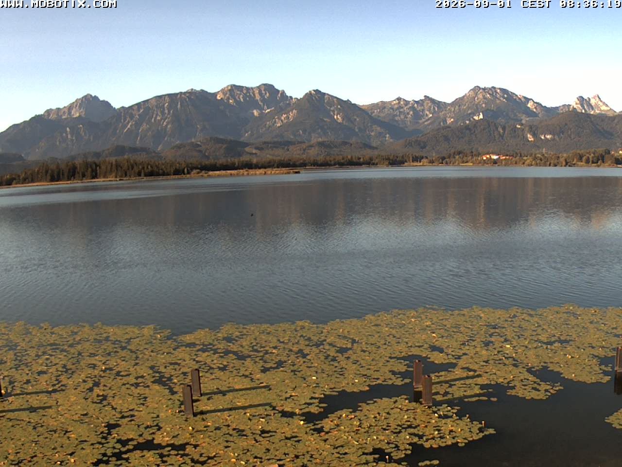 Archiv Foto Webcam Restaurant Fischerhütte am Hopfensee