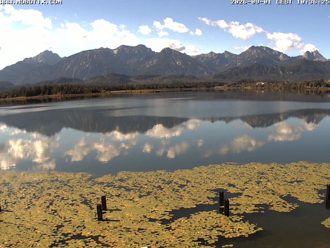 Archiv Foto Webcam Restaurant Fischerhütte am Hopfensee