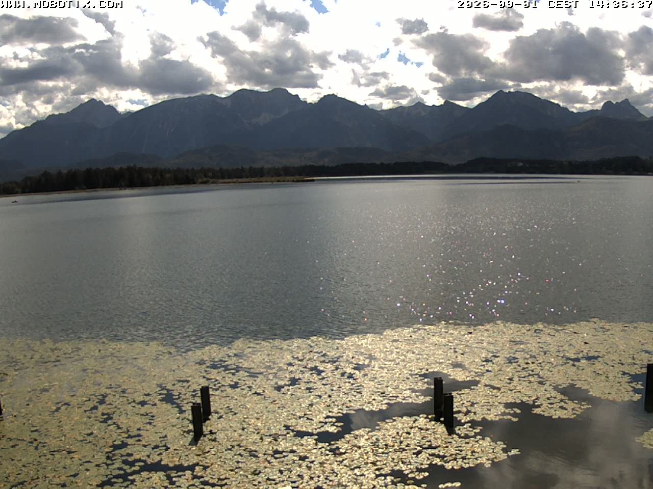 Archiv Foto Webcam Restaurant Fischerhütte am Hopfensee