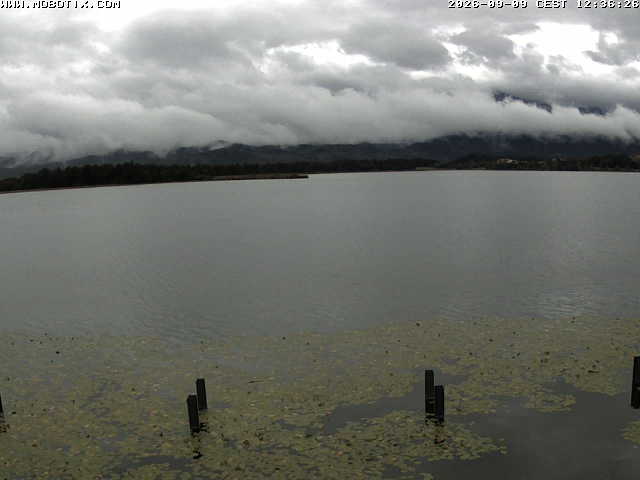 Archiv Foto Webcam Restaurant Fischerhütte am Hopfensee