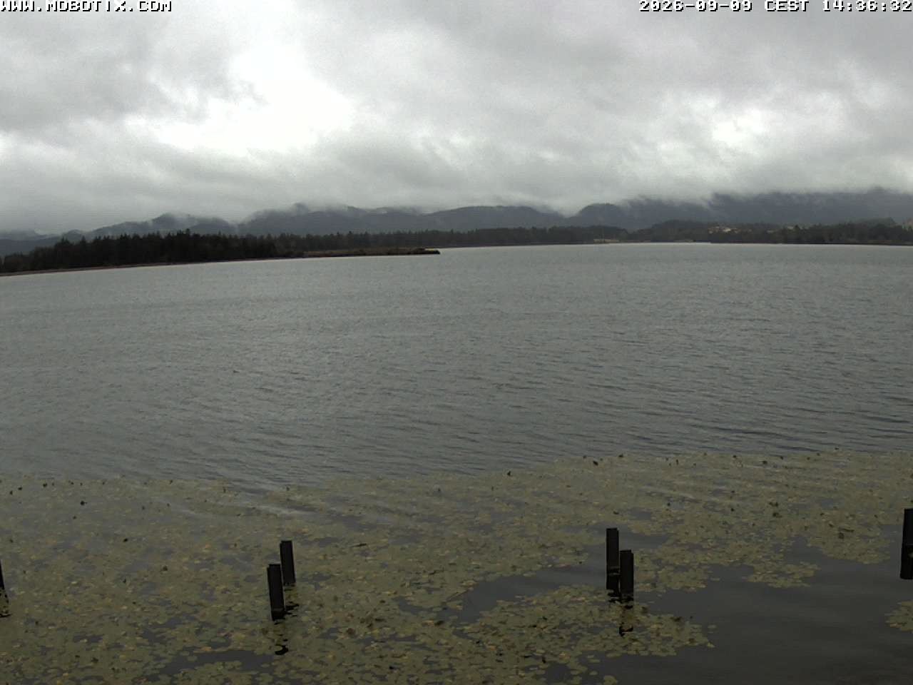 Archiv Foto Webcam Restaurant Fischerhütte am Hopfensee