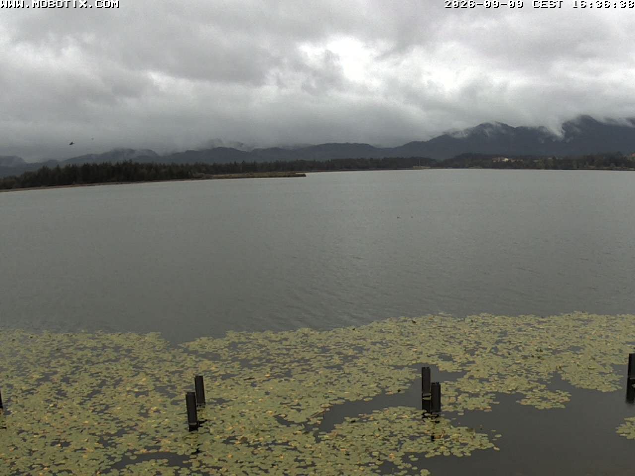 Archiv Foto Webcam Restaurant Fischerhütte am Hopfensee