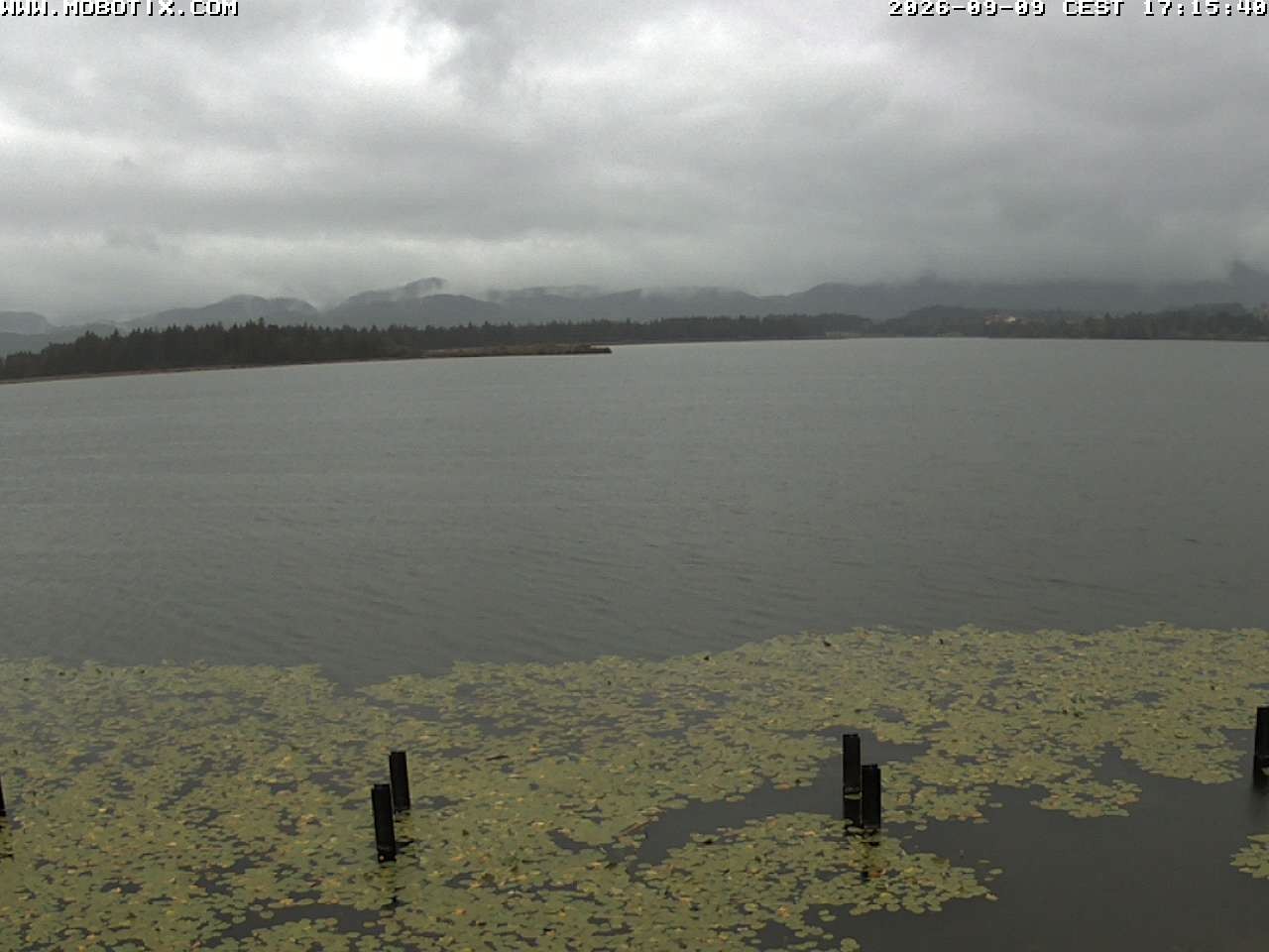 Archiv Foto Webcam Restaurant Fischerhütte am Hopfensee